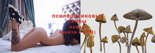 первитин Михайловск