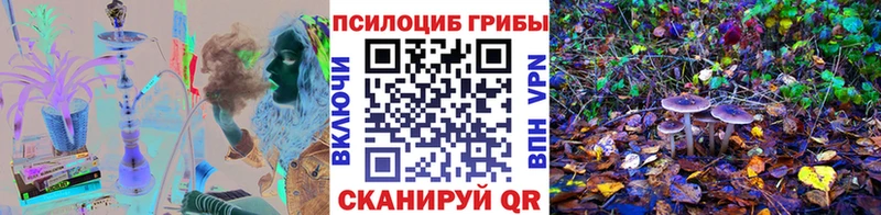 mega зеркало  Липецк  Галлюциногенные грибы Cubensis  наркота 